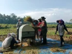 berita_1744700033