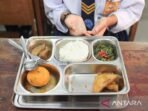 fakta.com-1736495605446-Menu-program-MBG