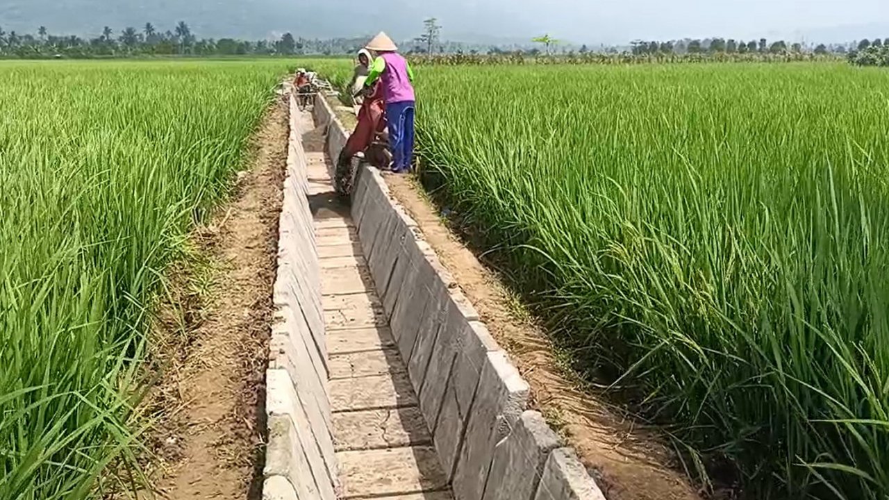 3ed5cbd29c652d24a3cc4f9d05cf3926