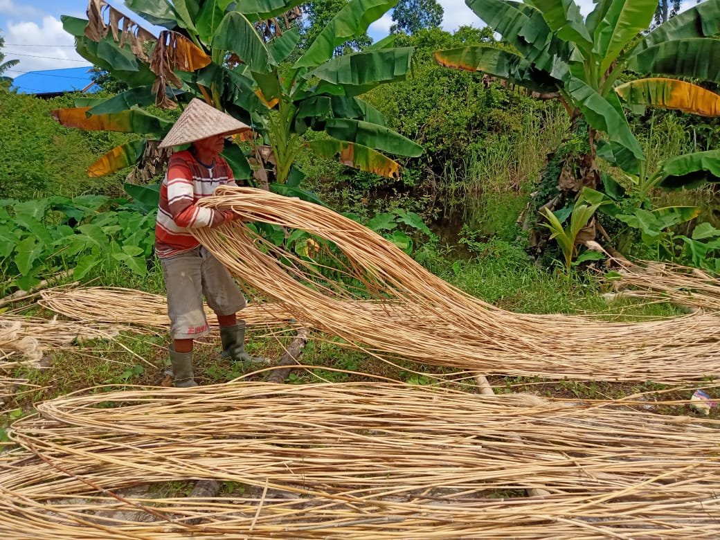 WhatsApp_Image_2020-01-22_at_13_28_12