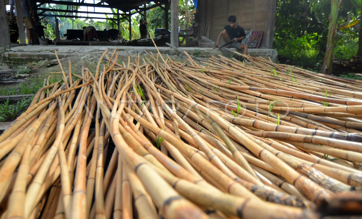 pengolahan-rotan-manau-di-mentawai-1a8v6-dom