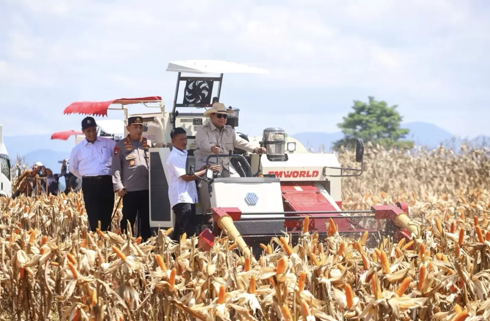 swasembada-pangan-2933741756