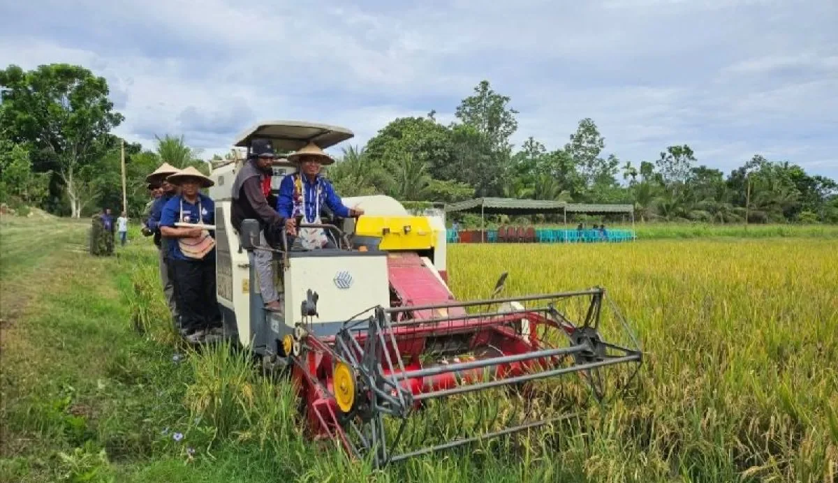 swasembada-papua-e1744896470533