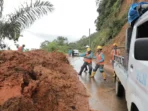 petugas-pln-melakukan-perbaikan-jaringan-jalur-tar-zxfw