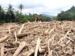 sampah-kayu-gelondongan-banjir-bandang-di-tapanuli-selatan-2678753-1775523251
