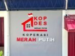 kopdes-niDe_large